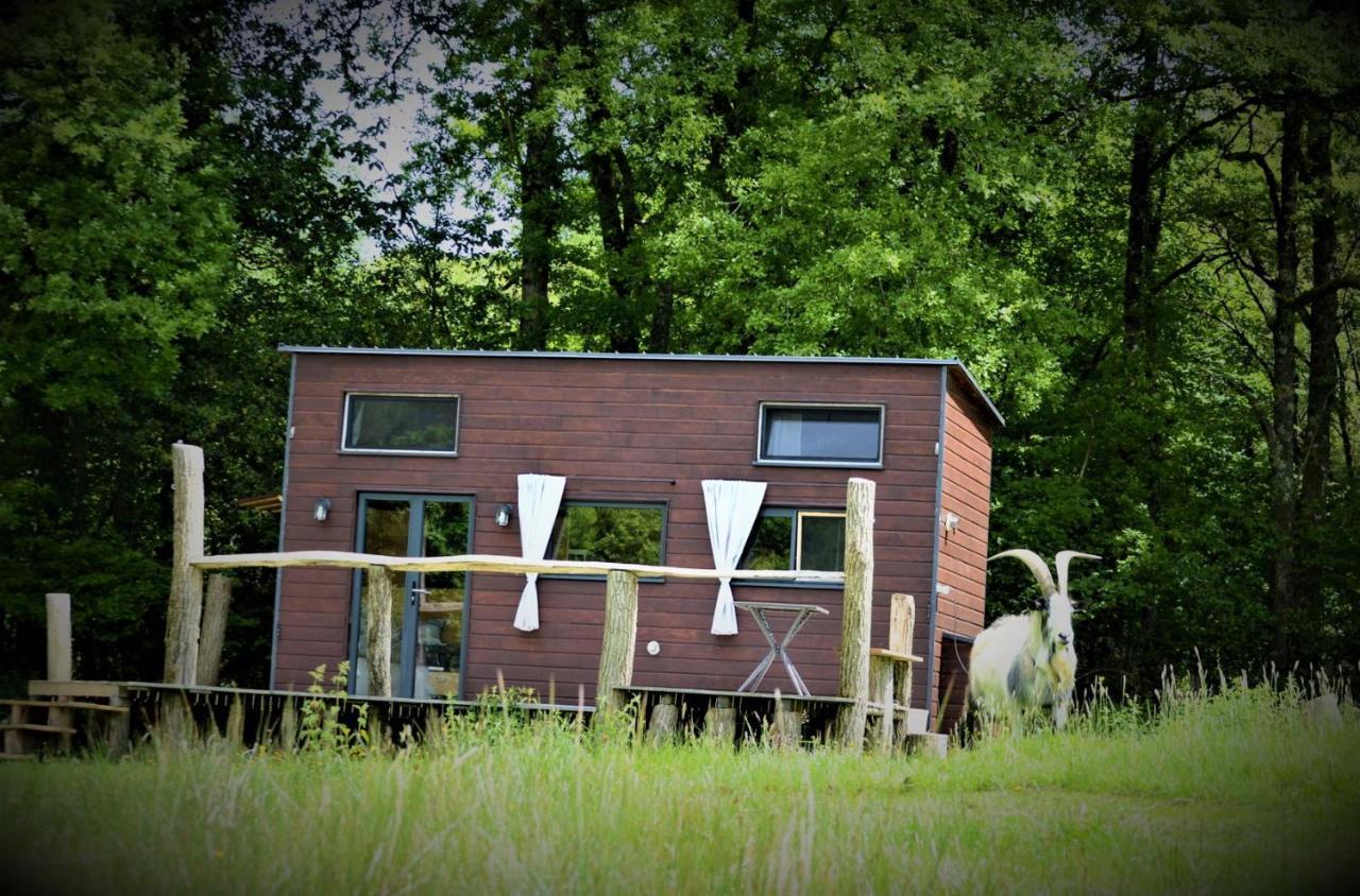 La Tiny House Terra Nostra Lejlighed Saint-Bazile Eksteriør billede